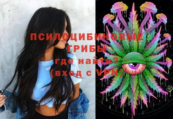 СК Надым