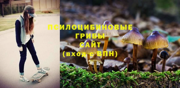 СК Надым