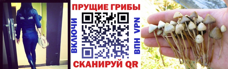 Галлюциногенные грибы ЛСД  ссылка на мегу ССЫЛКА  Фатеж  хочу  